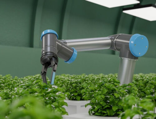 The Green Revolution: Transforming Agriculture with Water Descaling and Seed Modification
